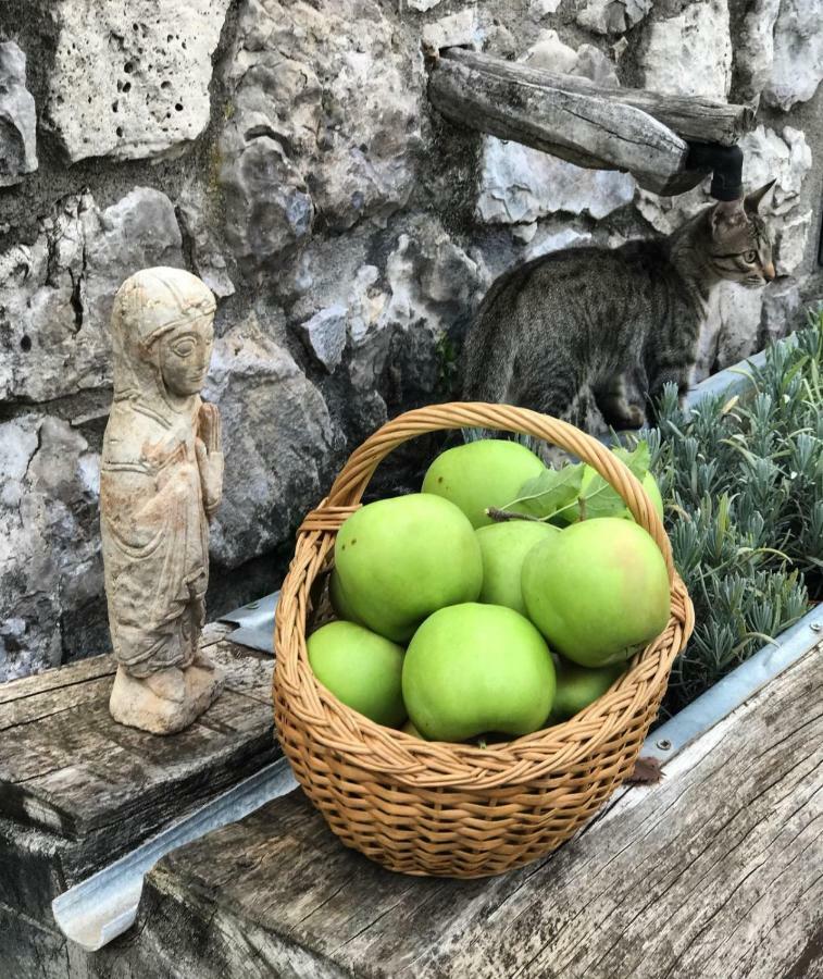 Masia Cap Del Roc Vallcebre Екстериор снимка