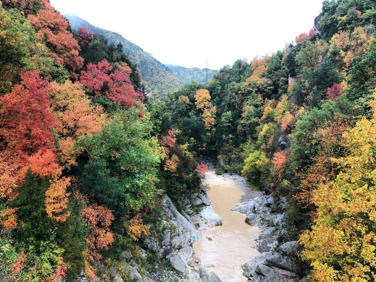 Masia Cap Del Roc Vallcebre Екстериор снимка